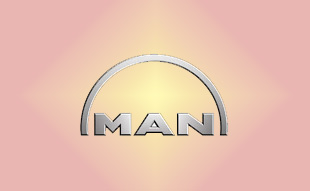 ✓ MAN 51.03201.1080 Запчасти МАН (MAN) 